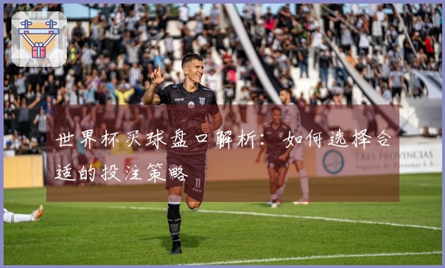 世界杯买球盘口解析：如何选择合适的投注策略