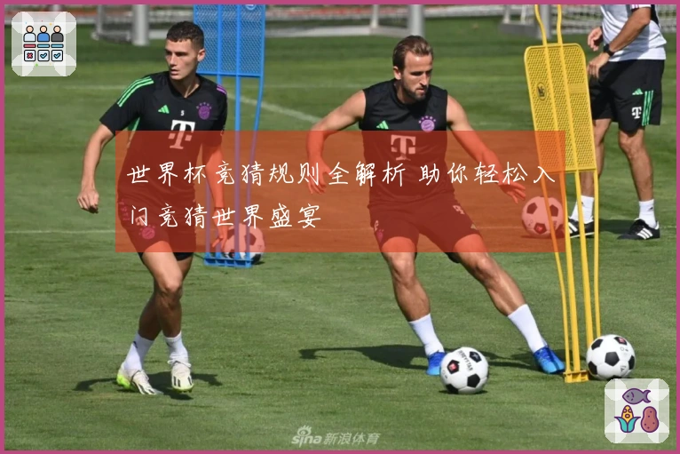 世界杯竞猜规则全解析 助你轻松入门竞猜世界盛宴