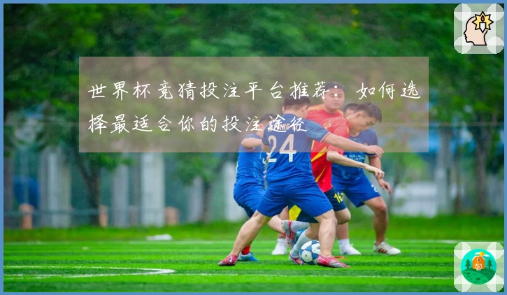 世界杯竞猜投注平台推荐：如何选择最适合你的投注途径
