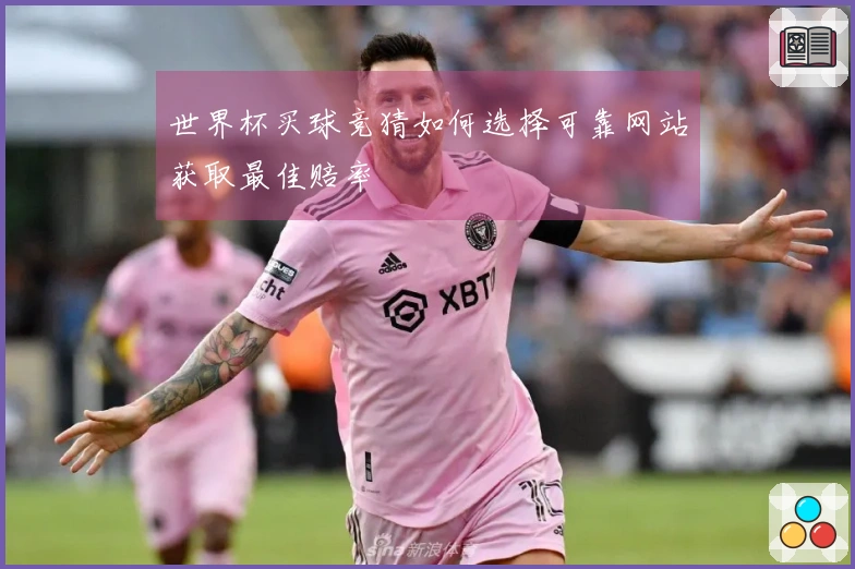 世界杯买球竞猜如何选择可靠网站获取最佳赔率