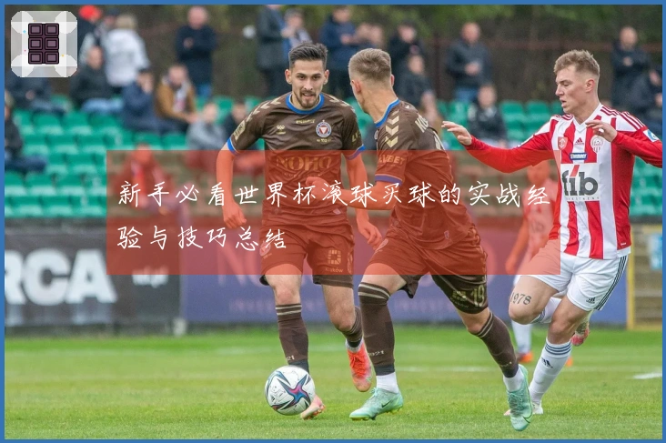 新手必看世界杯滚球买球的实战经验与技巧总结