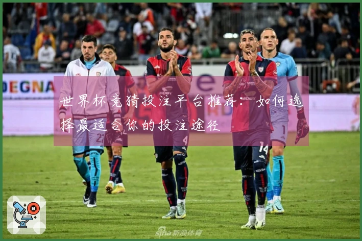 世界杯竞猜投注平台推荐：如何选择最适合你的投注途径