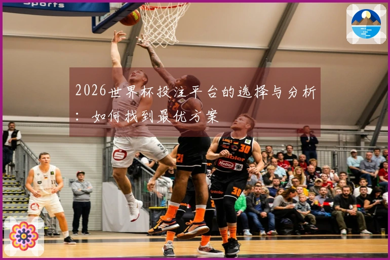 2026世界杯投注平台的选择与分析：如何找到最优方案