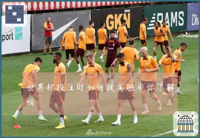 世界杯投注时如何提高胜率你了解吗