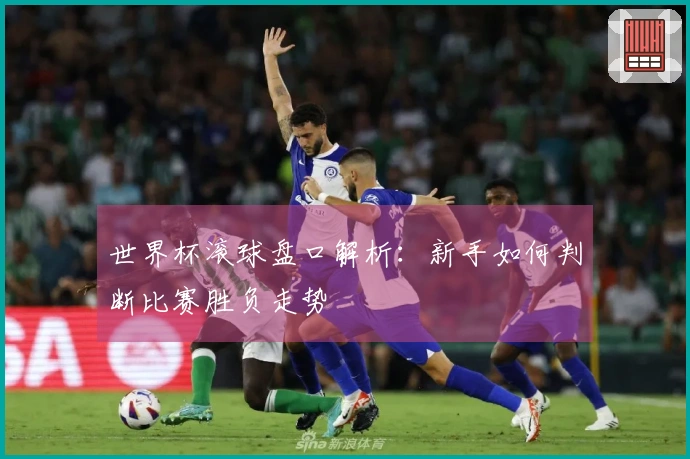 世界杯滚球盘口解析：新手如何判断比赛胜负走势