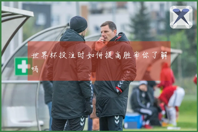 世界杯投注时如何提高胜率你了解吗