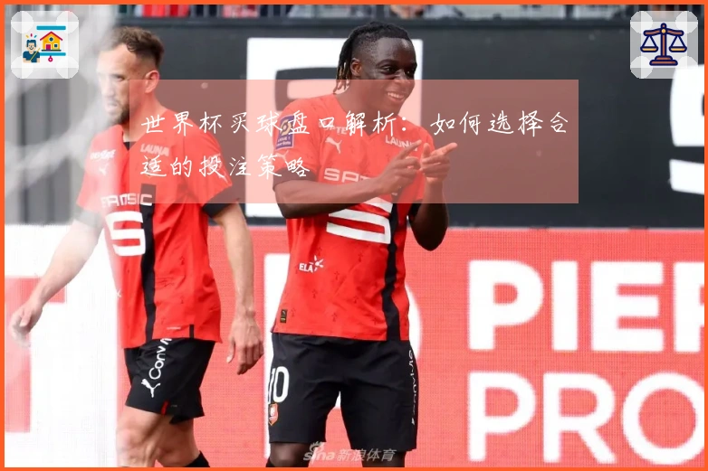 世界杯买球盘口解析：如何选择合适的投注策略