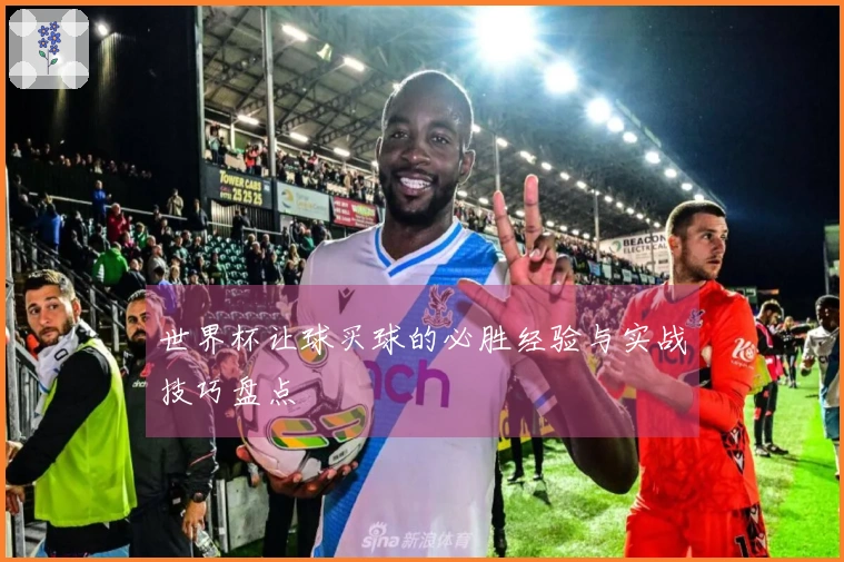 世界杯让球买球的必胜经验与实战技巧盘点